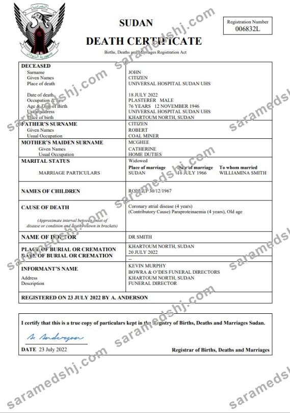 Sudan vital record death certificate Word and PDF template